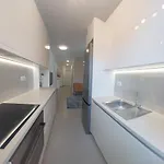 Unique - Garden With Private Heated Massage Pool Only For Daire Trogir